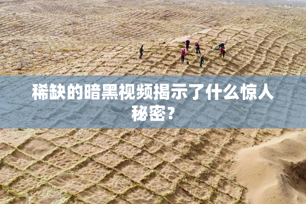 稀缺的暗黑视频揭示了什么惊人秘密？
