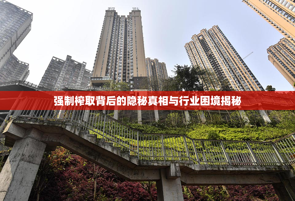强制榨取背后的隐秘真相与行业困境揭秘