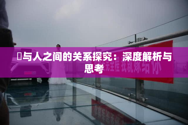 嘼与人之间的关系探究：深度解析与思考