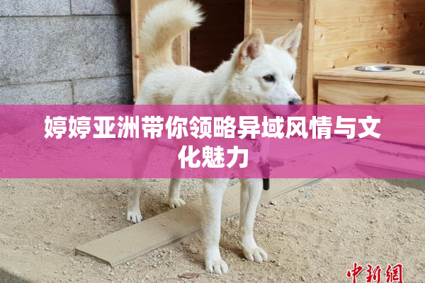 婷婷亚洲带你领略异域风情与文化魅力