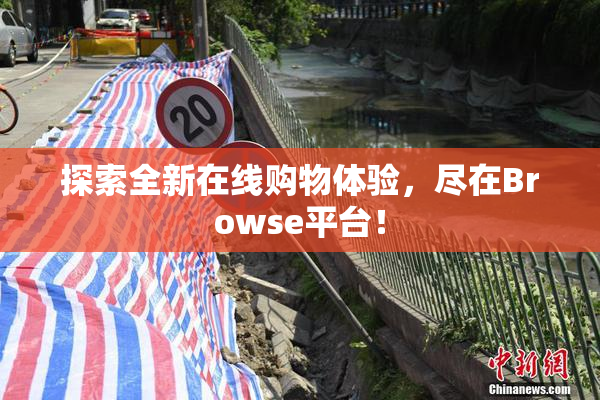 探索全新在线购物体验，尽在Browse平台！