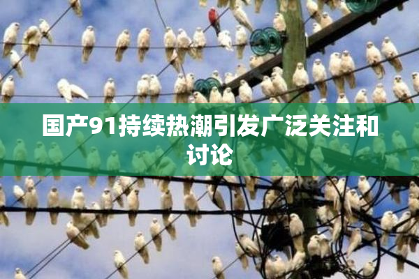 国产91持续热潮引发广泛关注和讨论
