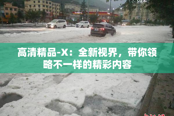 高清精品-X：全新视界，带你领略不一样的精彩内容