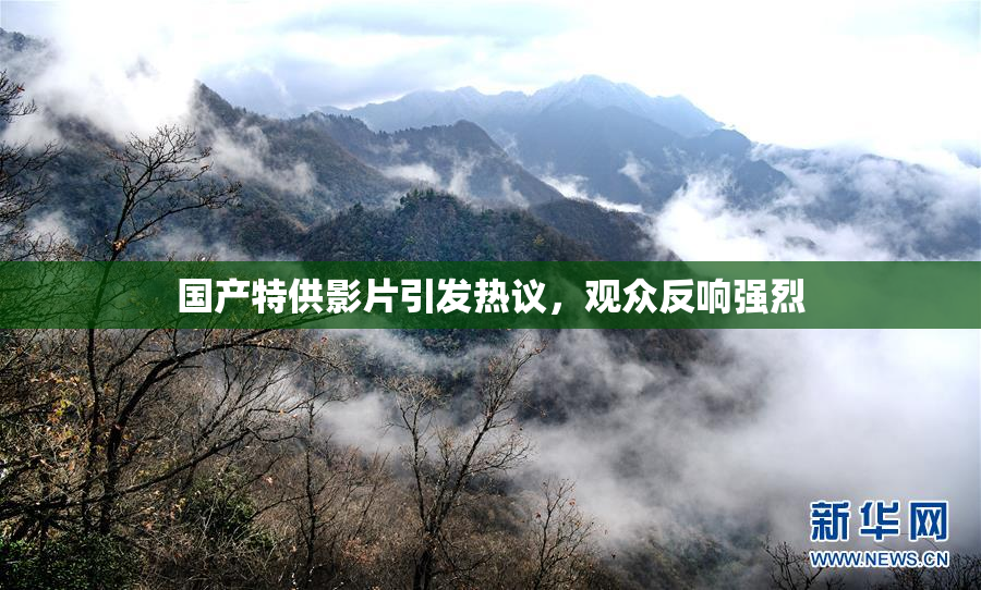 国产特供影片引发热议，观众反响强烈