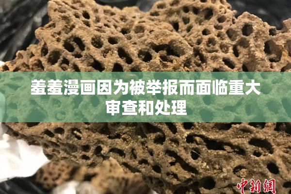 羞羞漫画因为被举报而面临重大审查和处理
