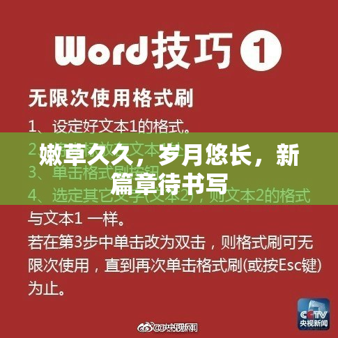 嫩草久久，岁月悠长，新篇章待书写