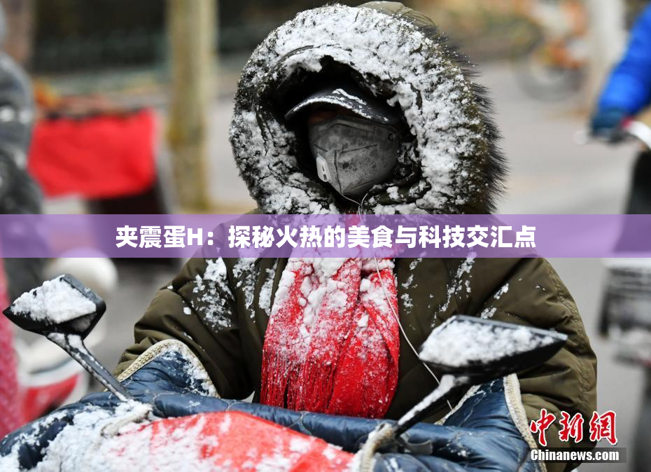 夹震蛋H：探秘火热的美食与科技交汇点
