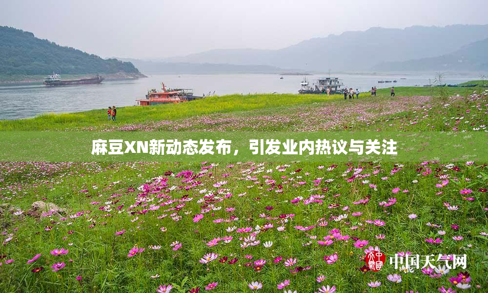 麻豆XN新动态发布，引发业内热议与关注