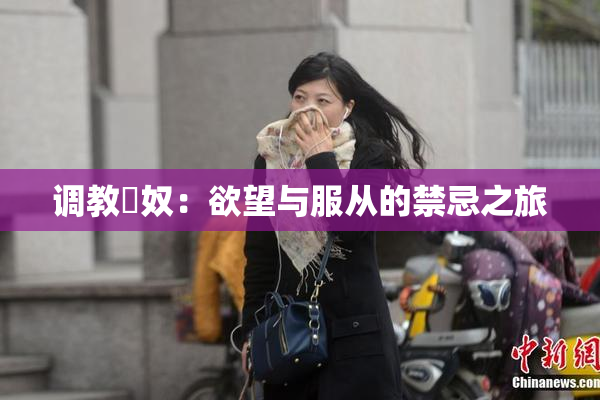 调教婬奴：欲望与服从的禁忌之旅