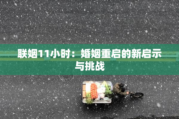 联姻11小时：婚姻重启的新启示与挑战