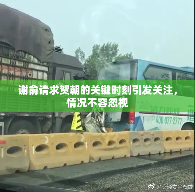 谢俞请求贺朝的关键时刻引发关注，情况不容忽视