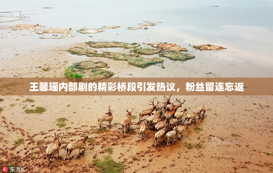 王馨瑶内部剧的精彩桥段引发热议，粉丝留连忘返