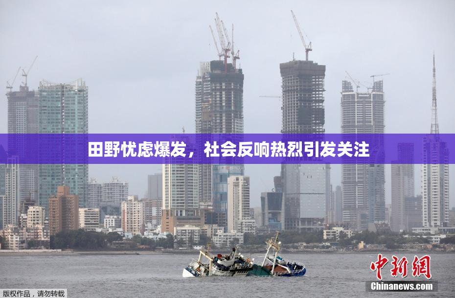 田野忧虑爆发，社会反响热烈引发关注