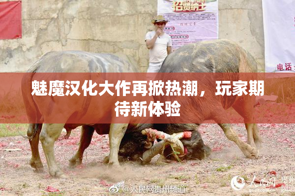 魅魔汉化大作再掀热潮，玩家期待新体验