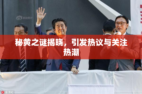 秘黄之谜揭晓，引发热议与关注热潮
