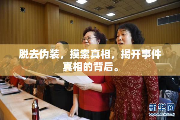 脱去伪装，摸索真相，揭开事件真相的背后。