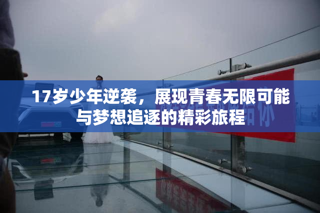 17岁少年逆袭，展现青春无限可能与梦想追逐的精彩旅程