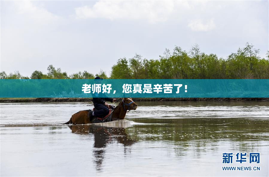 老师好，您真是辛苦了！