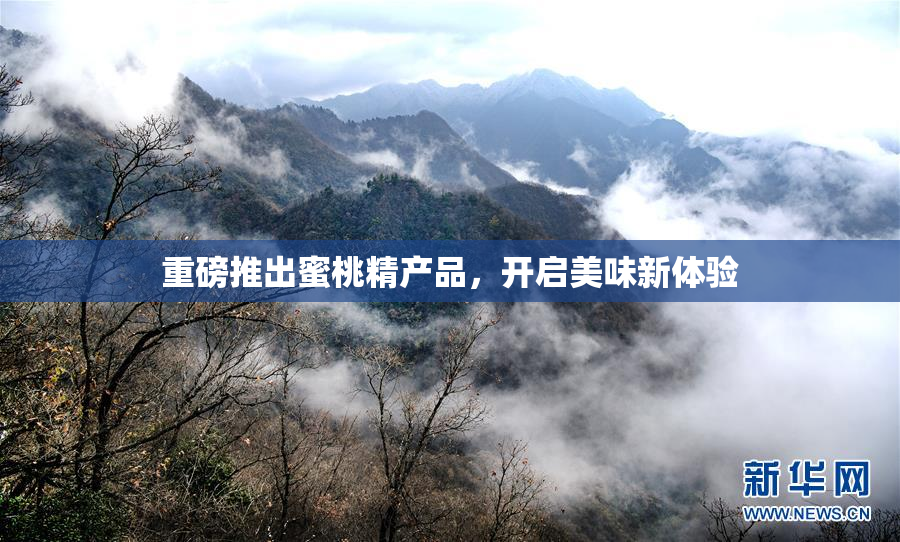 重磅推出蜜桃精产品，开启美味新体验