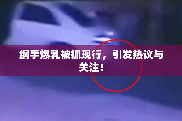 纲手爆乳被抓现行，引发热议与关注！