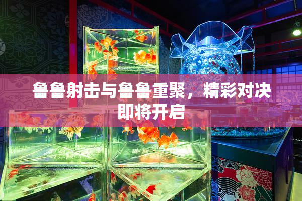鲁鲁射击与鲁鲁重聚，精彩对决即将开启