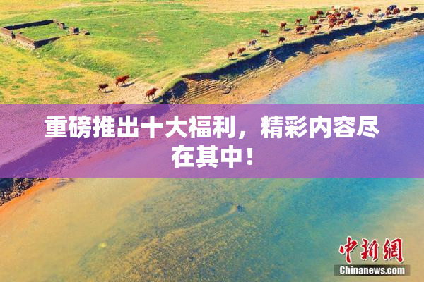 重磅推出十大福利，精彩内容尽在其中！