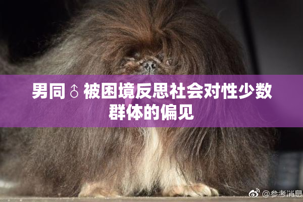 男同♂被困境反思社会对性少数群体的偏见