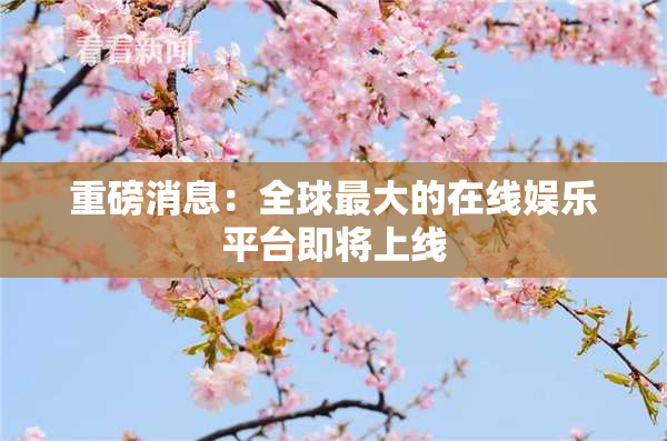 重磅消息：全球最大的在线娱乐平台即将上线