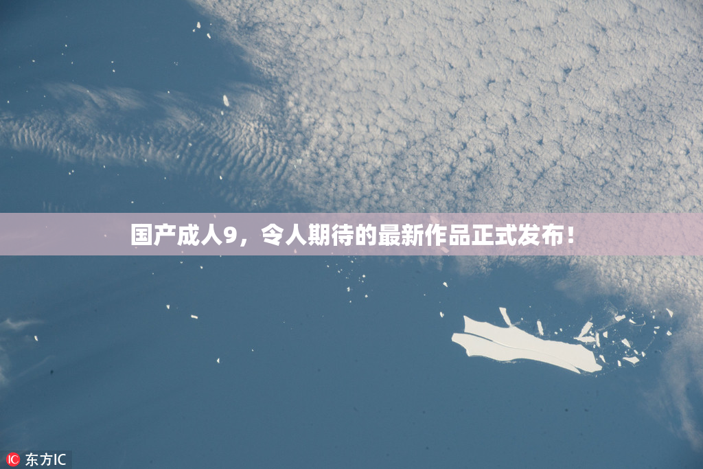 国产成人9，令人期待的最新作品正式发布！