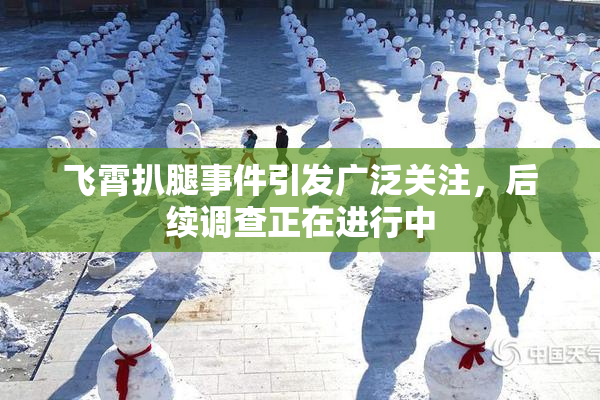 飞霄扒腿事件引发广泛关注，后续调查正在进行中