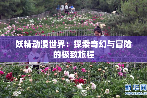 妖精动漫世界：探索奇幻与冒险的极致旅程