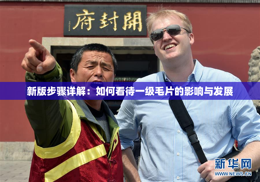 新版步骤详解：如何看待一级毛片的影响与发展