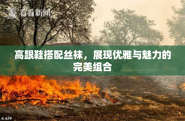 高跟鞋搭配丝袜，展现优雅与魅力的完美组合