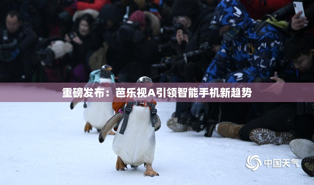 重磅发布：芭乐视A引领智能手机新趋势
