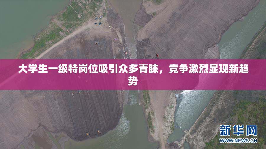 大学生一级特岗位吸引众多青睐，竞争激烈显现新趋势