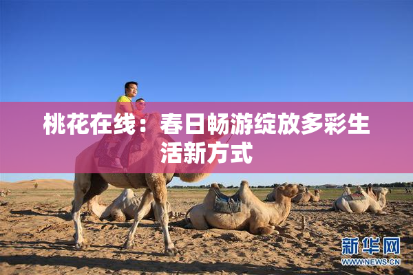 桃花在线：春日畅游绽放多彩生活新方式