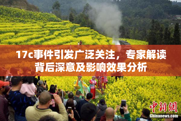 17c事件引发广泛关注，专家解读背后深意及影响效果分析