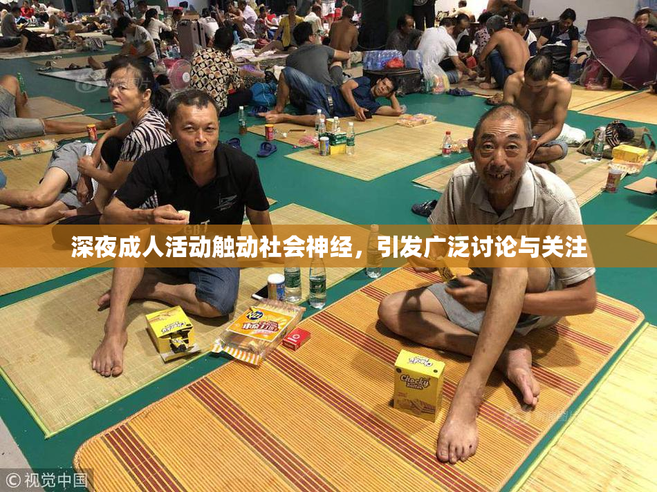 深夜成人活动触动社会神经，引发广泛讨论与关注