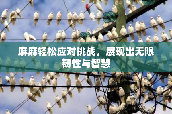 麻麻轻松应对挑战，展现出无限韧性与智慧