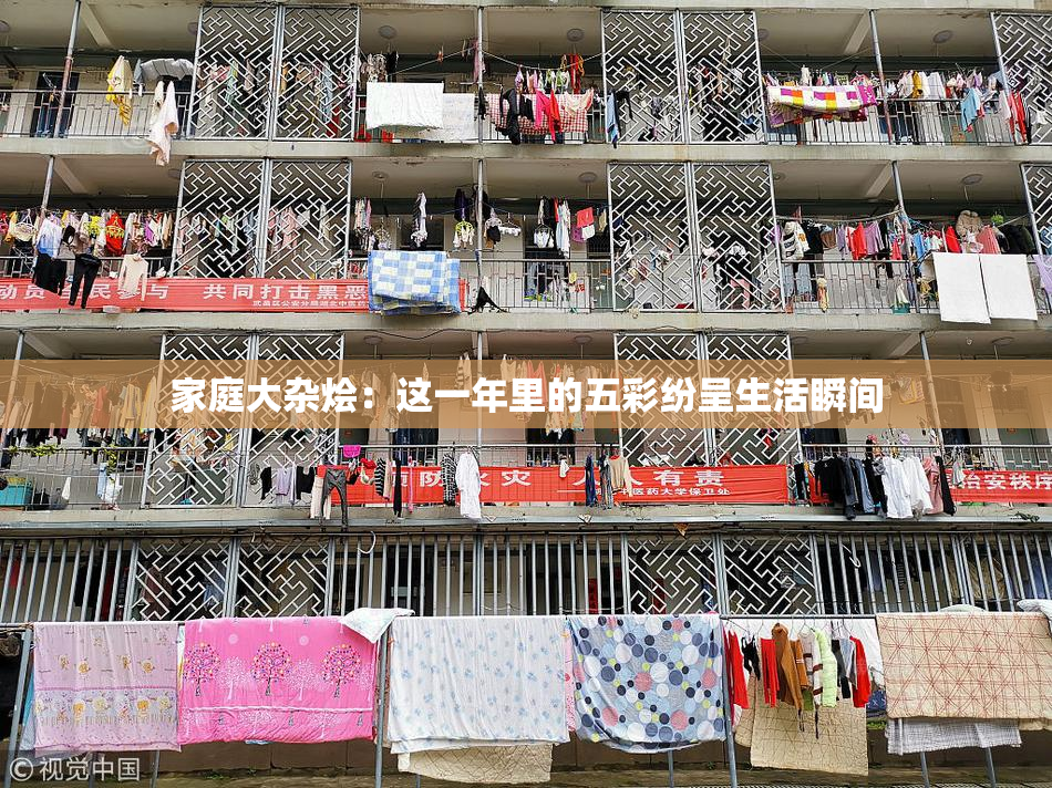 家庭大杂烩：这一年里的五彩纷呈生活瞬间