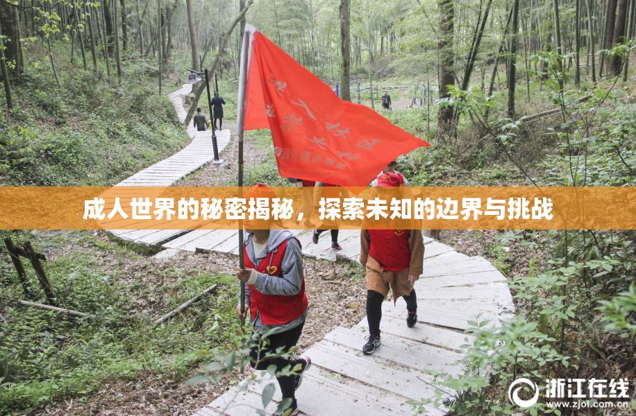 成人世界的秘密揭秘，探索未知的边界与挑战