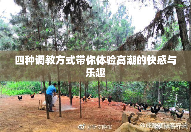 四种调教方式带你体验高潮的快感与乐趣