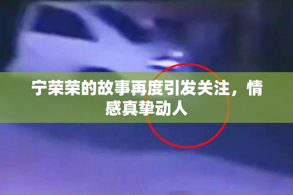 宁荣荣的故事再度引发关注，情感真挚动人