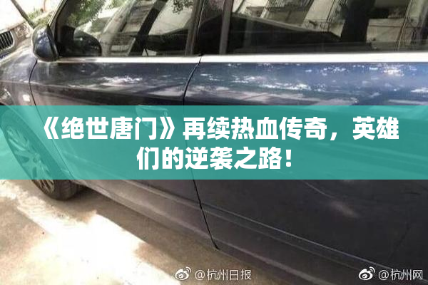 《绝世唐门》再续热血传奇，英雄们的逆袭之路！