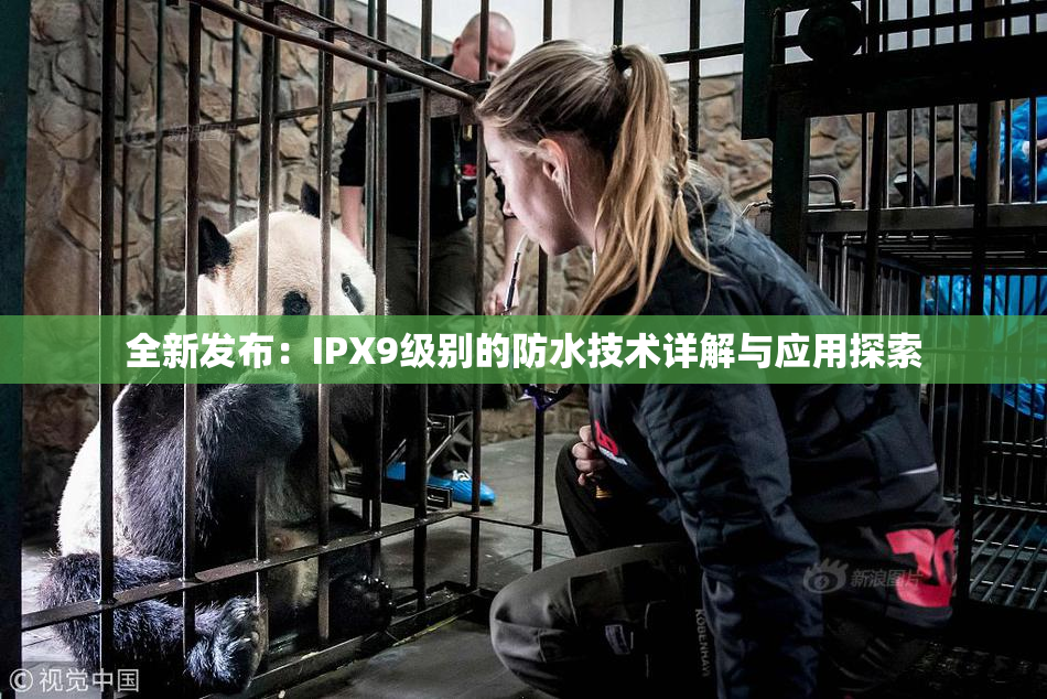 全新发布：IPX9级别的防水技术详解与应用探索