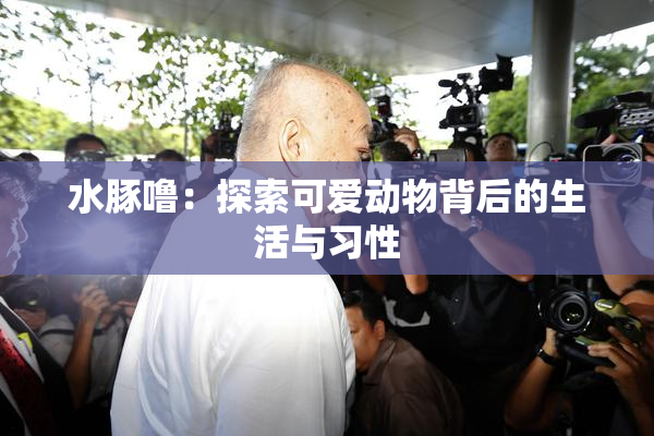 水豚噜：探索可爱动物背后的生活与习性