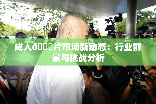 成人🔞片市场新动态：行业前景与挑战分析