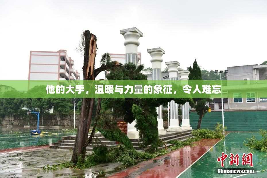 他的大手，温暖与力量的象征，令人难忘