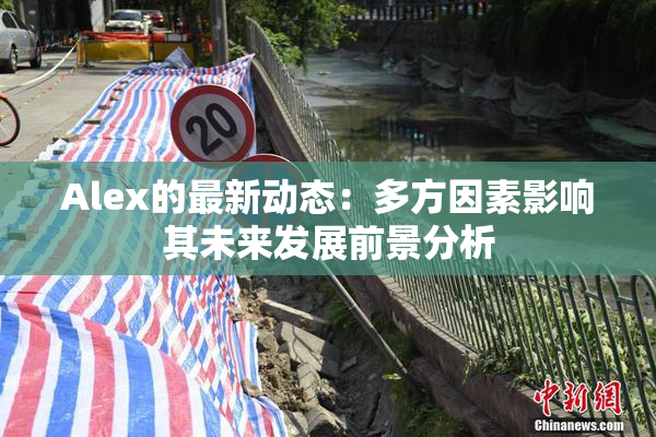 Alex的最新动态：多方因素影响其未来发展前景分析
