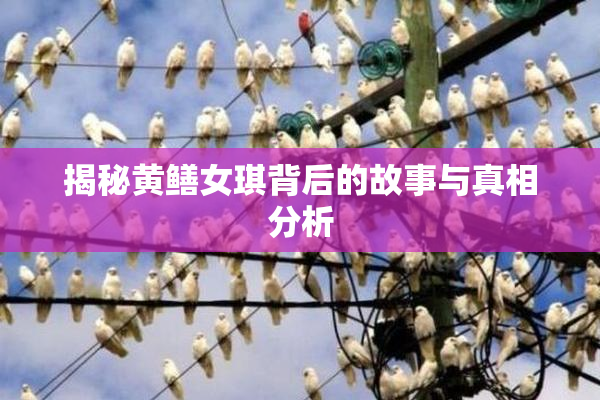 揭秘黄鳝女琪背后的故事与真相分析
